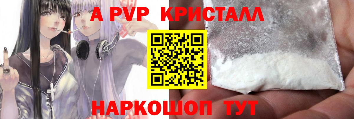 A-PVP СК КРИС Гурьевск