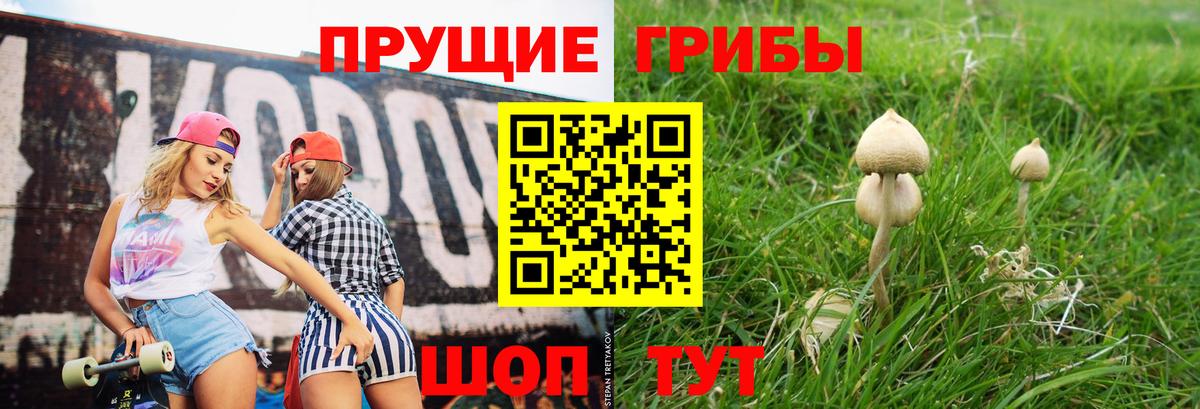 Псилоцибиновые грибы ЛСД Гурьевск