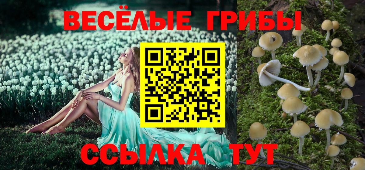 Псилоцибиновые грибы Cubensis  Вход с VPN  как найти закладки  Гурьевск 